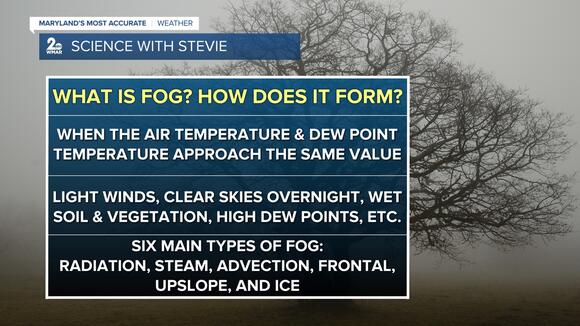 Focusing on the fog - NewsBreak