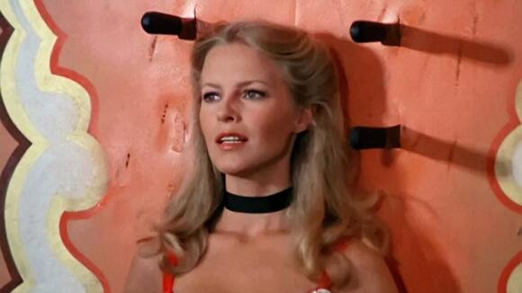 From TV Angel to Author, The Many Sides of Cheryl Ladd - NewsBreak