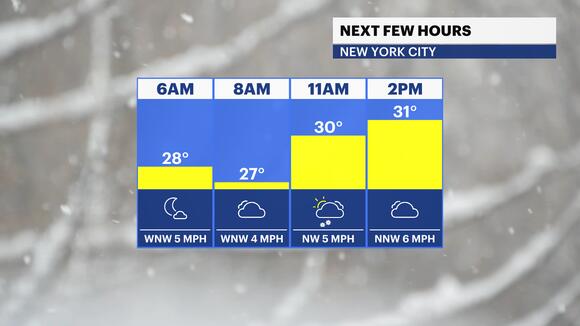 STORM WATCH: Frigid and breezy with light snow for the Bronx