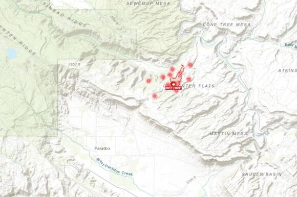 Montrose County Wildfire: Beehive Fire Blazes Near Paradox - NewsBreak
