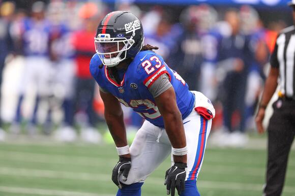 New York Giants Cut Najee Harris and Jihad Ward