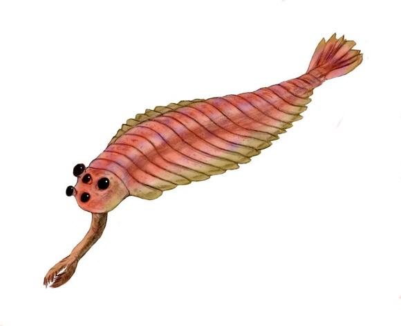 The Prehistoric Creature That Looked Like a Vacuum Cleaner - NewsBreak