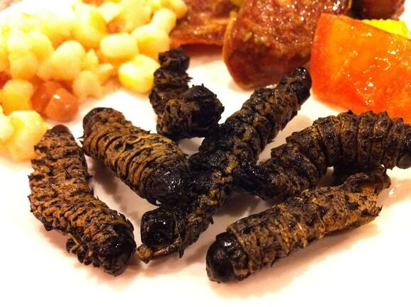 Why Some Cultures Eat Insects—and Others Refuse to Try - NewsBreak