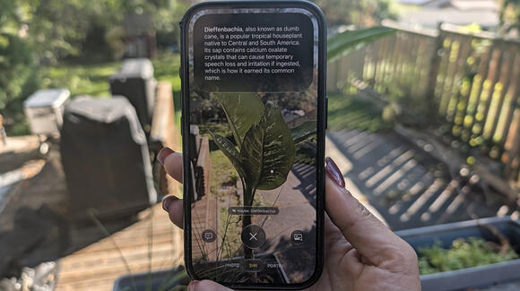 How To Use The Live Text Feature On Your iPhone - NewsBreak