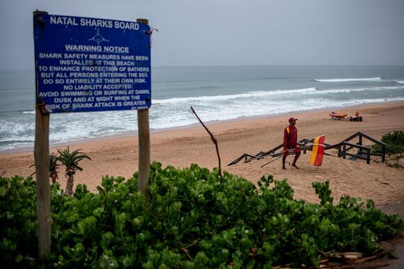 Swimmer killed in shark attack in South Africa - NewsBreak