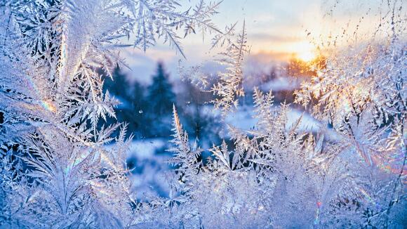 Illinois Freeze Alert: Chicago, Most Areas Still Await First 32 ...