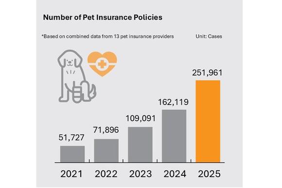 South Korea pet insurance market grows but uptake remains low - NewsBreak