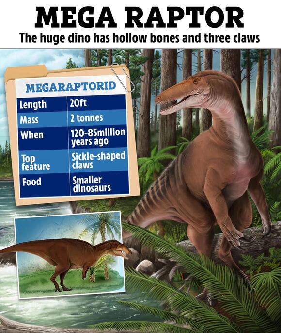 Major discovery sheds new light on giant 20ft ‘mega raptor’ that ...