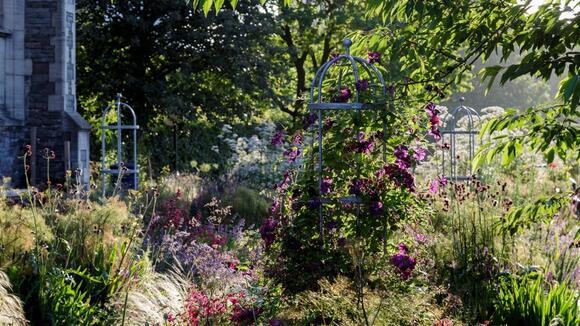 Don’t Be Fooled by This Warm Spell – ‘False Spring’ Could Wipe Out Your ...