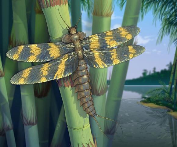 7 Astounding Prehistoric Insects That Ruled the Skies Before Dinosaurs ...