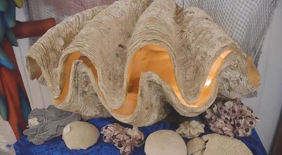 The Man-Killing Giant Clam of Sea Shell City - NewsBreak