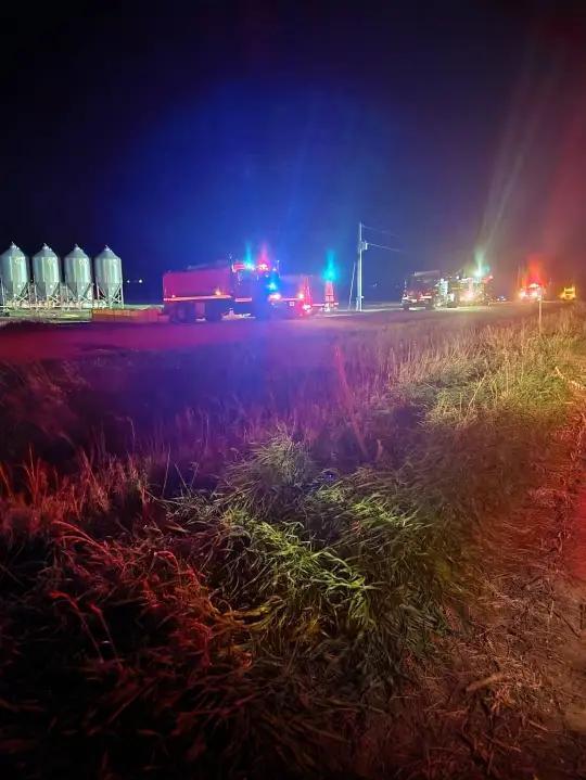 More than 2,000 hogs killed in Sibley barn fire - NewsBreak