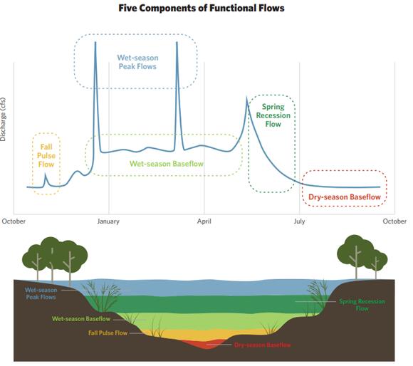 📢 How “functional flows” keep California rivers healthy - NewsBreak