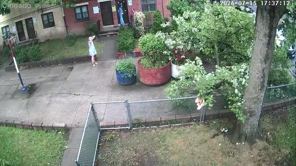Bronx family says close call with fallen tree comes after years of ...