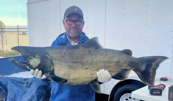 Montana's Shocking Monster State Record Salmon...That Isn't - NewsBreak