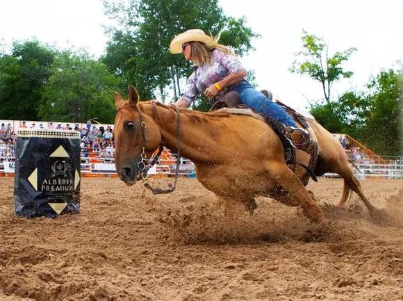 Don’t Miss It: The Springhill PRCA Rodeo is Here! - NewsBreak