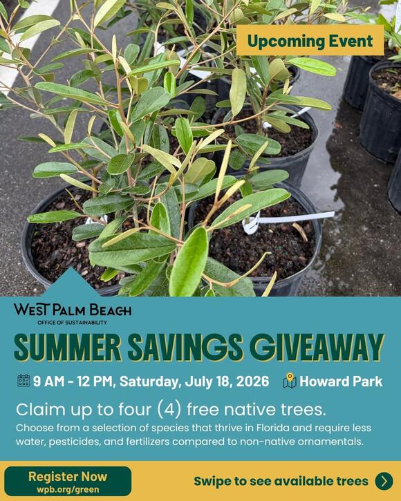 Free Native Tree Giveaway for WPB Residents - NewsBreak
