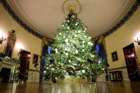 The Michigan Christmas Tree Shines Bright At The White House - NewsBreak