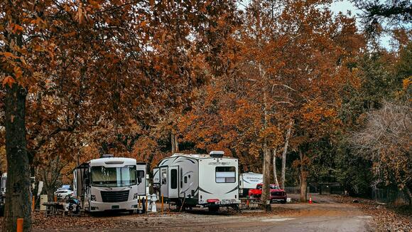 My RV was damaged by a fallen tree at a campground, and management says ...