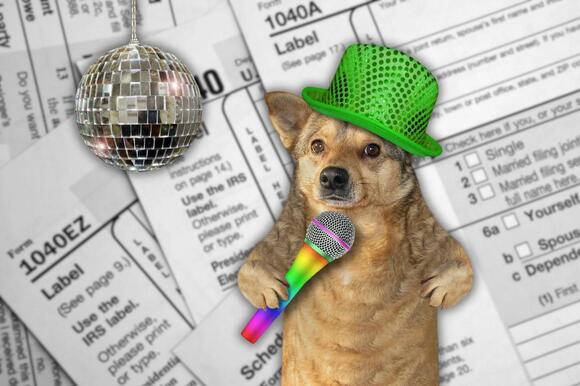 New Yorkers Can Now Claim Pet Tax in 2026 - NewsBreak