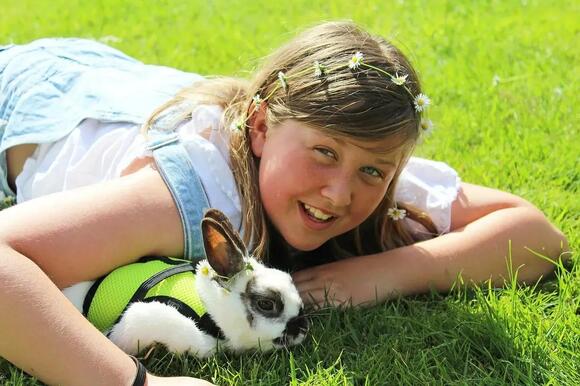 7 Astonishing Facts About Domestic Rabbits That Will Change Your Mind ...