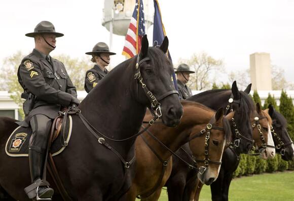 Trooper Thrown From Horse After Truck Crash Near Live! Casino, Driver ...