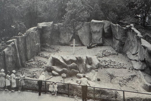 A Timeline of 150 Years of Zoo History - NewsBreak