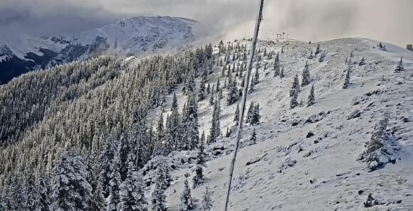Taos Ski Valley, NM, Offering $75 Lift Tickets This Winter - NewsBreak