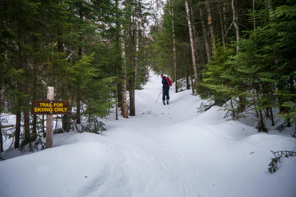 15 Best Snowmobiling Trails in North America - NewsBreak