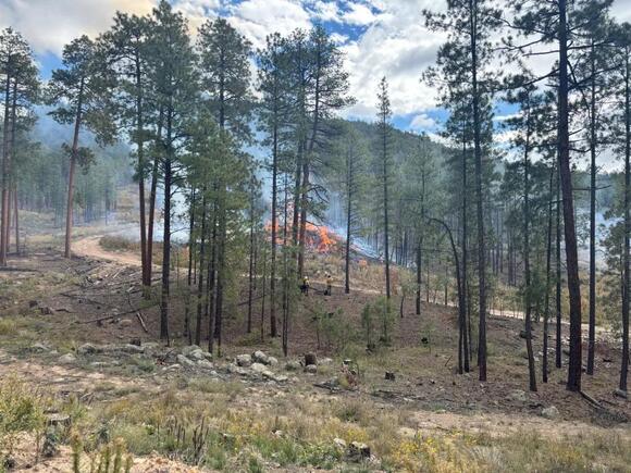 🚒 412-acre Paliza South prescribed burn done, smoke still possible ...
