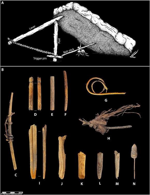 Oregon cave older than Egypt's Great Pyramid rewrites history - NewsBreak