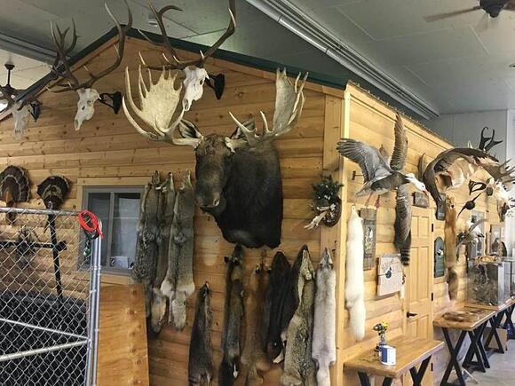 Game & Fish Releases The Big 3 Harvest in North Dakota - NewsBreak