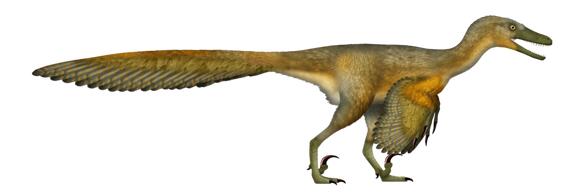 How Did Raptors Hunt in Packs? New Evidence Suggests Strategy - NewsBreak