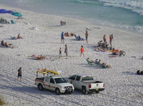 New Shark Alert System Launched Along Gulf Coast - NewsBreak