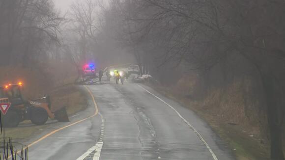 Driver dies after crashing into tree on Route 9A in Mount Pleasant ...