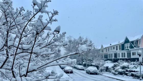 Another Winter Storm Set to Hit Maryland Tuesday Afternoon - NewsBreak