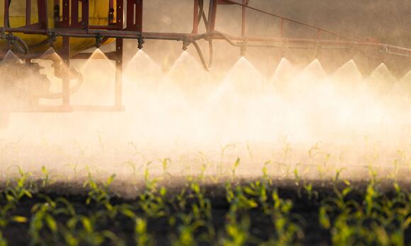 Syngenta seeks EPA approval of HiFlex label to expand corn herbicide ...
