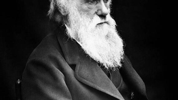 10 Groundbreaking Scientific Discoveries That Changed the World Forever ...