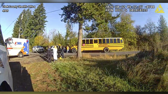 Battle Ground driver cited after striking child near stopped school bus ...