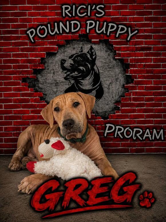 🐶 Playful Seniors, Pups & Prison-Program Dogs Seeking Homes in ...