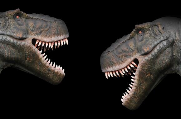 How Technology Is Revealing Old Fossils Were Misidentified - NewsBreak
