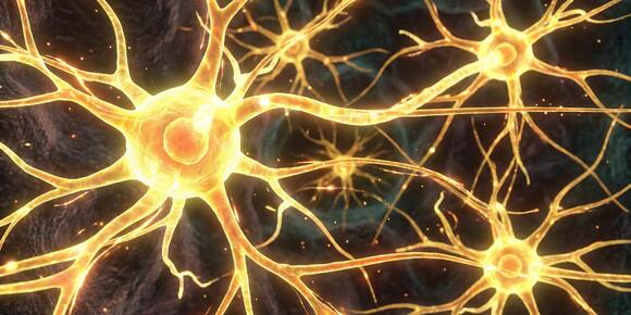 Sleep loss reduces muscle endurance by rewiring brain networks, study ...