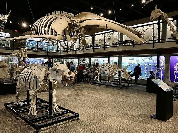 Oklahoma Tar Pits: Forgotten History of Tar Springs - NewsBreak