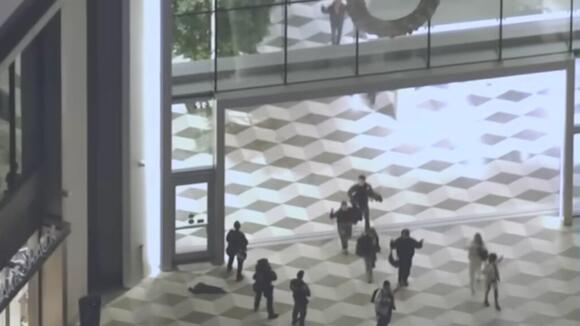 ‘Not worth the 50% off’: Black Friday turns violent as mall shooting ...