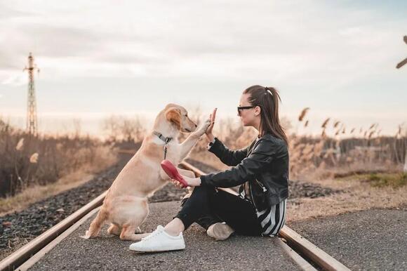 How Affection Shapes Your Dog’s Personality - NewsBreak