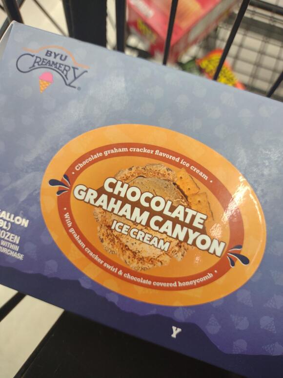 Before You Buy Chocolate Ice Cream, Here Are 5 Brands Worth Knowing ...
