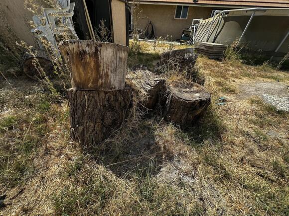 🎁 Community Freebies in Simi Valley — Handy Home Finds & More - NewsBreak