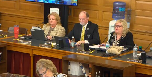 Kansas House panel passes bill allowing local taxpayers to sink ...