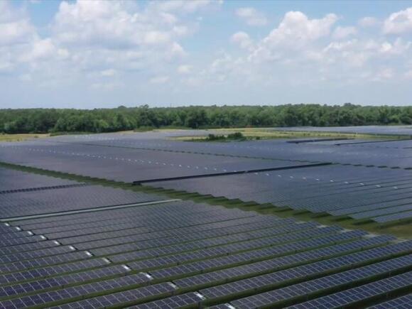 Suffolk neighbors raise concerns over proposed Old Myrtle solar farm ...