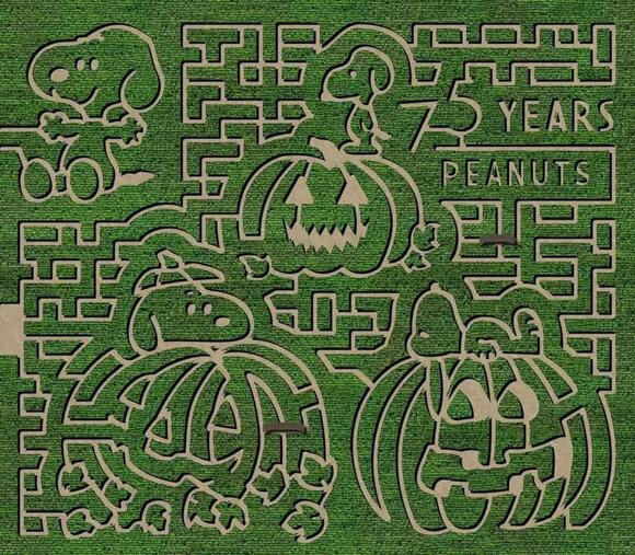 Experience The Back To The Future Corn Maze In Billings - NewsBreak